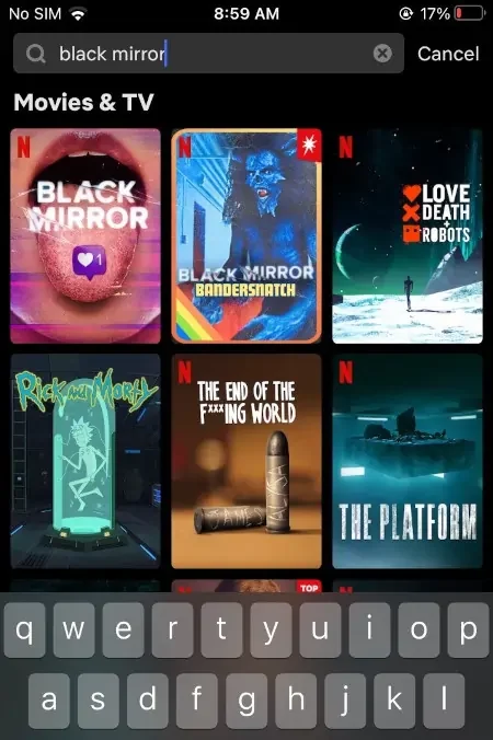 FOR IOS 2 apps netflix 1 e1733683252483